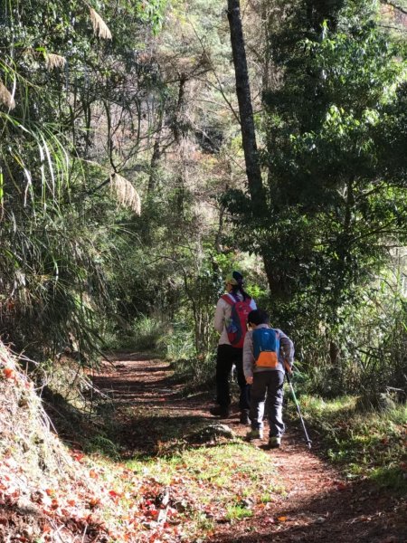 石山引水道縱走兒玉山498935