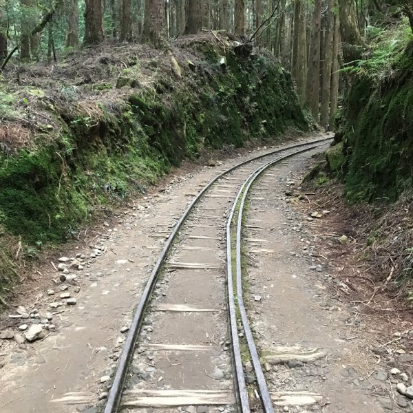 特富野古道1134118