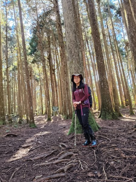 高島縱走202502152713767