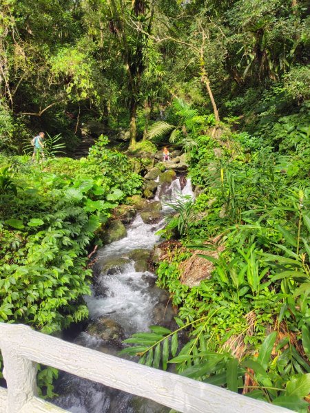 渭水之丘 烘爐地山 抹茶山 三角崙山2938827