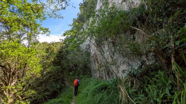 114.06.28內平林山-番子坑山-平湖森林遊樂區之O型2824238