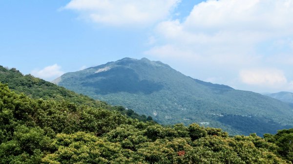 中正山3134359