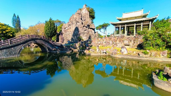 雙溪公園賞花&原住民公園落羽松&故宮1/142689937