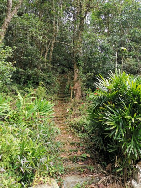 2019-12-20_關刀火炎鐵砧山868675