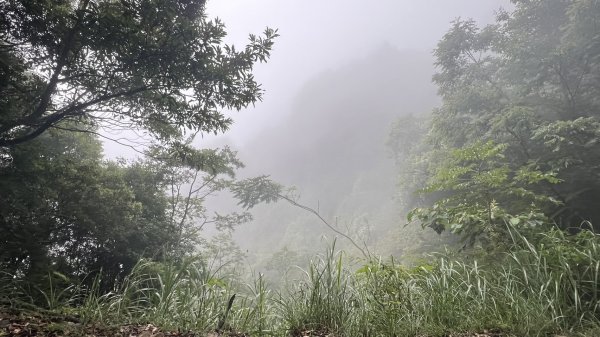 大板根+北坑山+東洗水山2551681