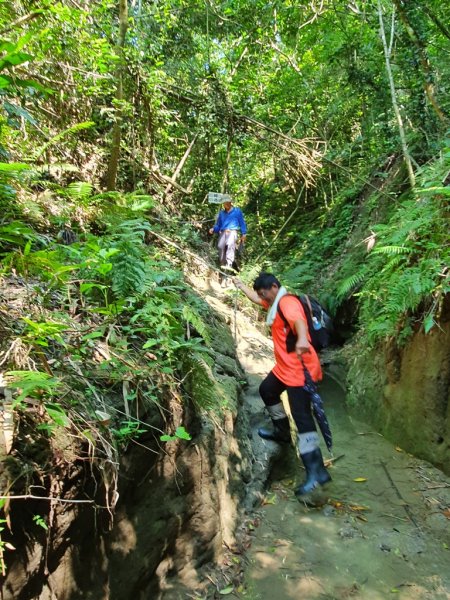 【苗栗】龍王峽谷秘境1777795