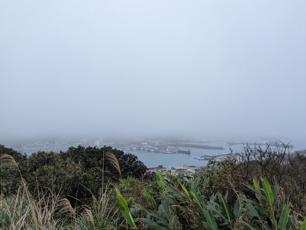 2023-02-11 忘憂谷步道2792594