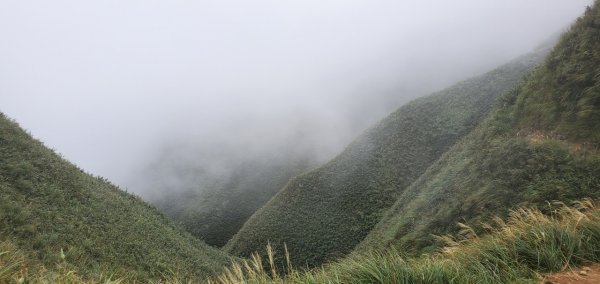 2021-09/19-宜蘭礁溪- 抹茶山三角崙山1466438