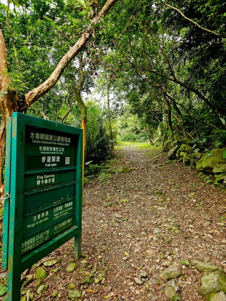 得卡倫步道封面