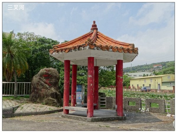 三義山、慈濟山、大坪山 連走桐花之旅3043841