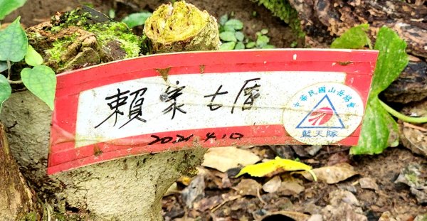 抹茶山，聖母登山步道，隆隆山，福卯古道，水柳腳登山步道，觀音台步道，北勢溪自行車道2112034