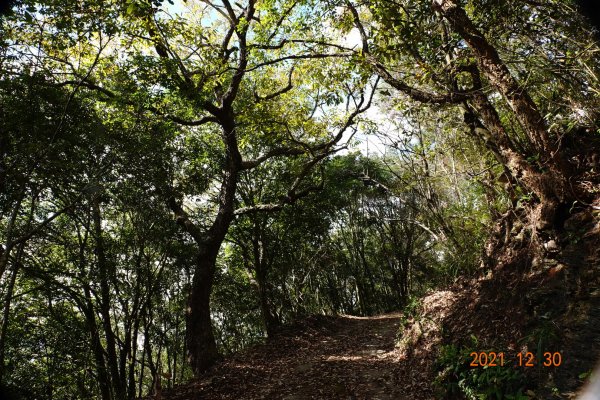 南投 仁愛 巴蘭山、關頭山、高峰山1567700