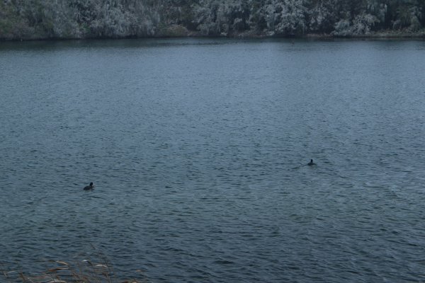 雲林．口湖椬梧滯洪池自行車道2023/01/012003593