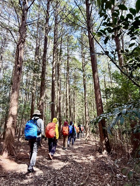 熊野古道中邊路D2 清姬--近露王子 2025.3.172745440