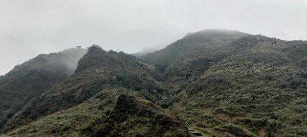 桃源谷，草嶺古道縱走1902830