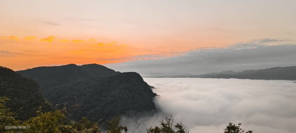 #翡翠水庫壩頂 #月亮 #日出 #雲海 #藍腹鷴母鳥 5/8&133050281