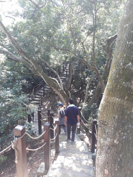 台中大坑步道7上6下20181027444582