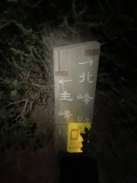 玉山北峰｜第六座百岳1156640