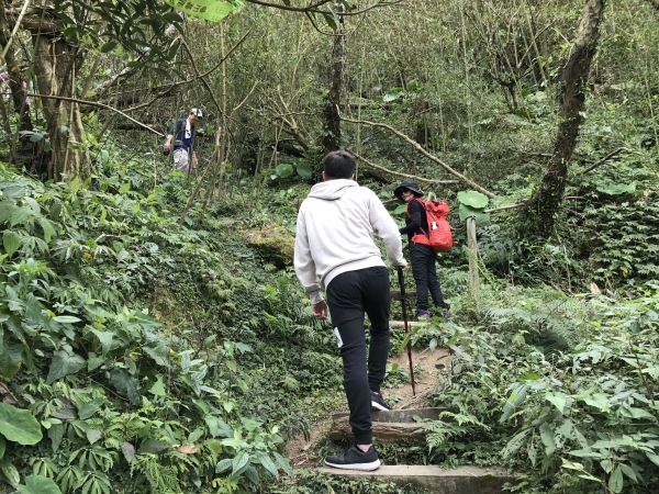 走出關古道上關刀山98650