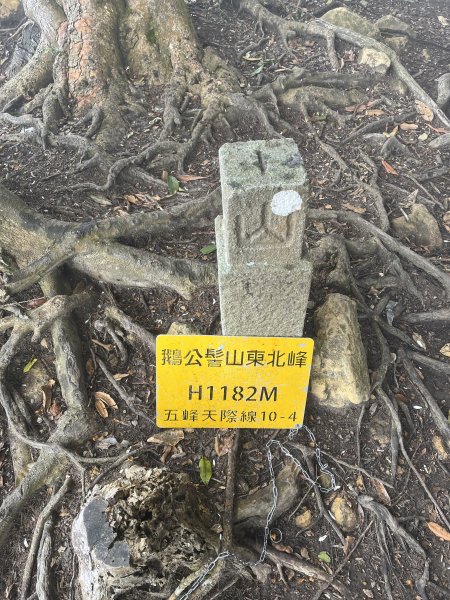 鵝公髻山2029094