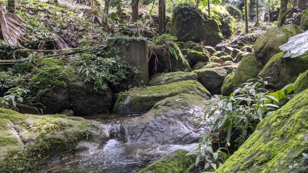 關仔嶺大凍山步道1448304