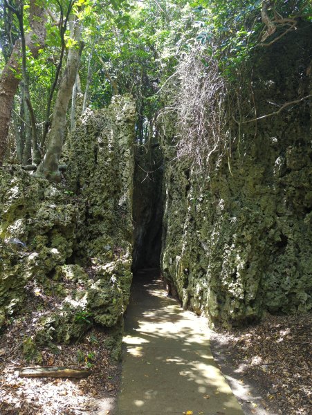 2024.06.09－墾丁國家公園2523867