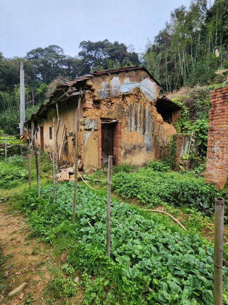 112/2/23龍鳳連稜2148219