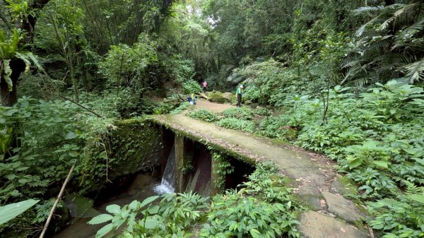 114.06.14雙石縱走&石門水庫-石牛山之旅2812240