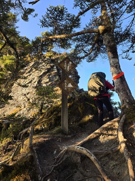 20260319-0324 南一段3036486