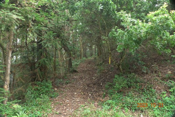 南投 烏來山、南阿冷山、中阿冷山、阿冷山東南峰2325526