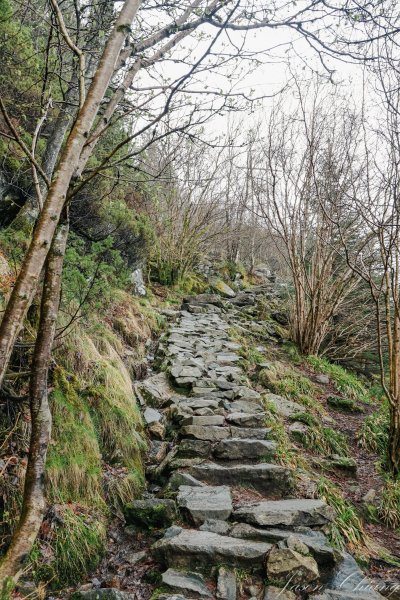 [挪威卑爾根Bergen] Stoltzekleiven Fløyen 健行步道2490898