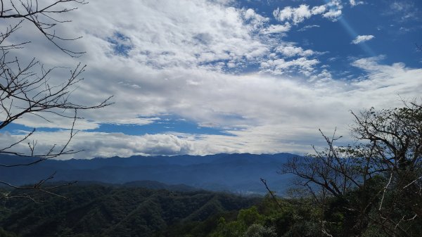 2020-1130飛鳳山O型1193900