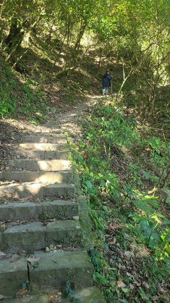 2025-0130溪和宮-大崎頭步道-鵝尾山-平溪步道-鵝尾山水田-42巷-溪山百年古圳-平菁步道2701857