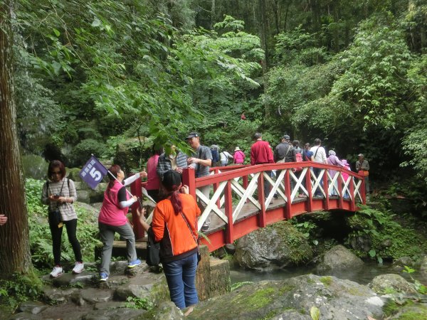 馬武督森林566524