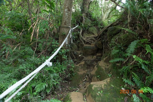 桃園 大溪 新溪洲山、溪洲山、頭寮山2243212