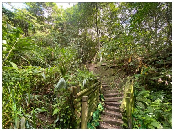 金龍湖、鷹石尖、老鷲尖、內溝山 O型一圈2966665