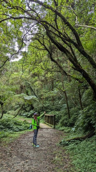 113.06.22坪溪古道-石坑山之旅2533772