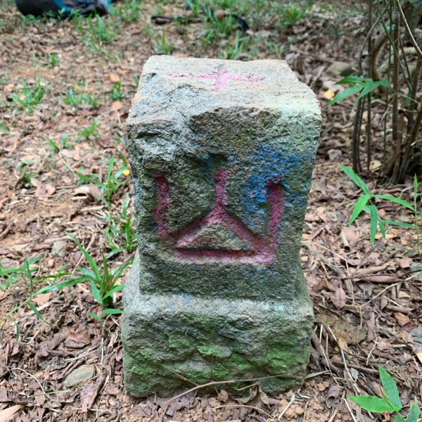 20260523高雄尾寮山連峰(第25刷)3065385