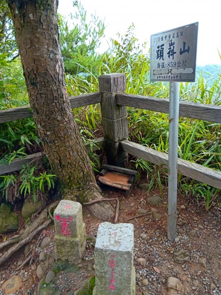 小百岳(41)-頭嵙山(四號步道)-201808151785181