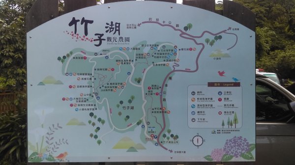 【臺北大縱走2】竹子湖與頂湖賞海芋繡球花981619