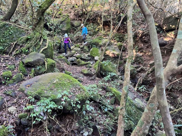 新北 三芝 小觀音山小O2723113