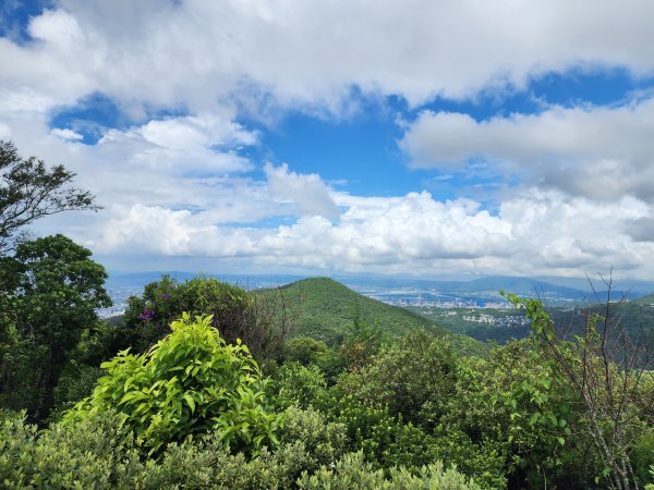 小百岳No.8⛰大崙頭山2594043