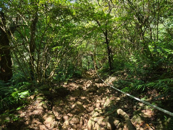 大屯主峰-連峰步道環形（小百岳）2904374