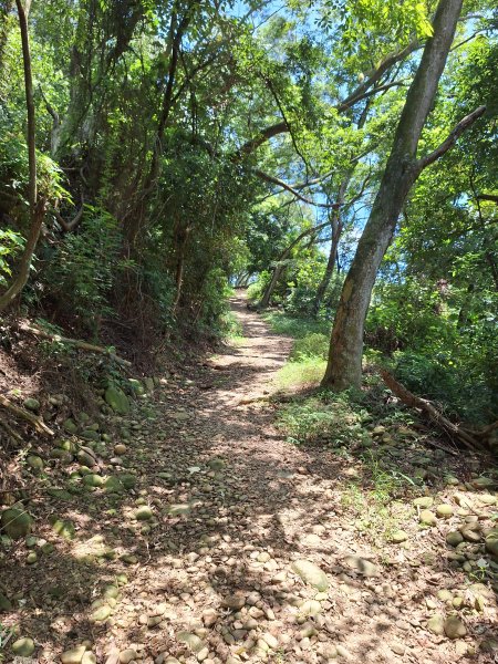 田中麒麟山森林步道202508172862020