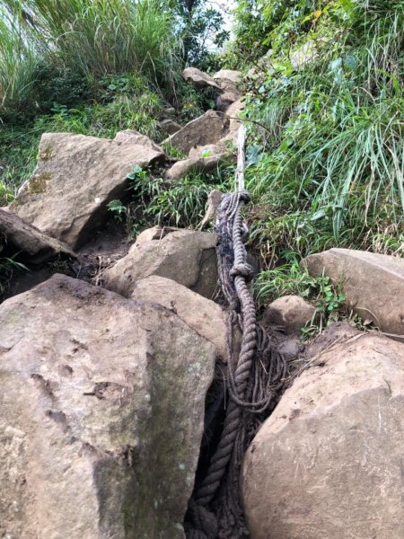 大屯山西峰542105