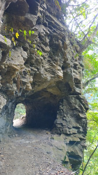 錐麓古道算高山嗎?1122386