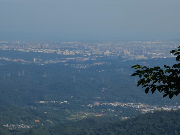 五指山橫向登山步道 - 2024森遊竹縣皮皮獅Hike客任務2555820