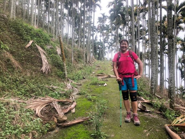後棟山經挑筍古道上大尖山再走樟湖山1100401