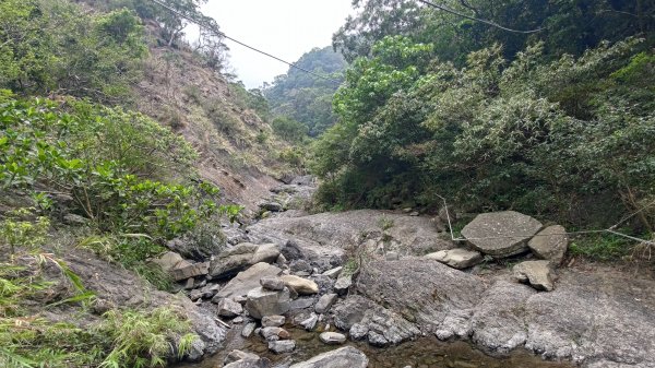 里龍山3038439