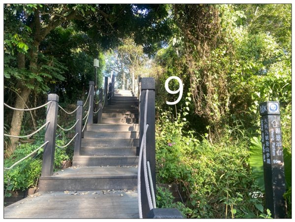 軍功寮山、大坑9、7、6、9-1步道 O型一圈2950785